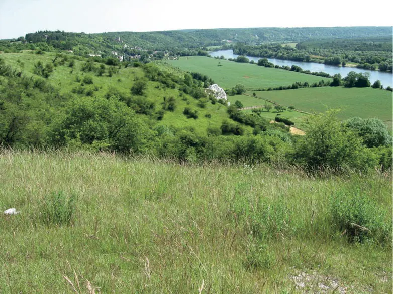 Loisirs Des Groux : Parc Naturel Régional Du Vexin Français