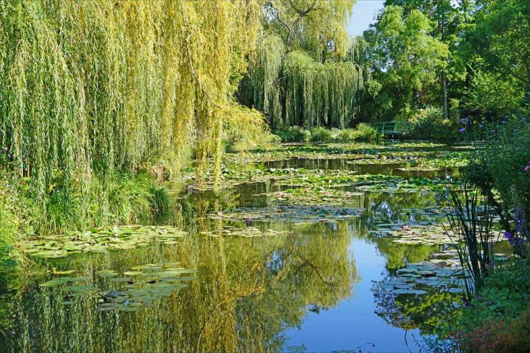 camping Giverny Jardin D'eau Claude Monet